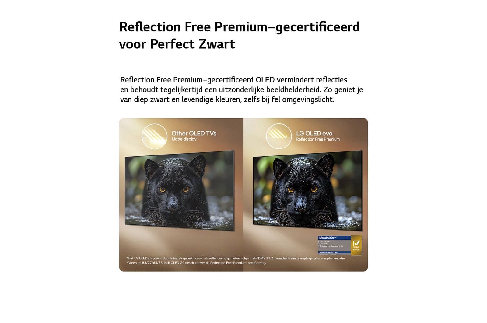 Een LG OLED evo AI G6 met Reflection Free Premium wordt naast een mat scherm met anti-glare getoond, waarbij het beeld van de zwarte jaguar helder blijft met diepe zwarttinten en een fijne textuur, met name in heldere omgevingen, met een Intertek-certificeringsmerk.