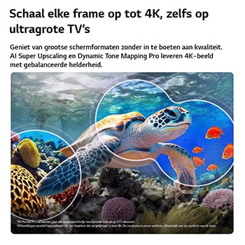 Een LG QNED evo AI QNED82 Mini LED met AI Picture Pro en Dynamic Tone Mapping Pro toont een lifestyle-scène in een openluchtomgeving vanuit een lage hoek, met twee personen tussen levendige bloemen. AI herkent elk beeld en schaalt het op naar 4K voor een duidelijkere textuur en meer details.