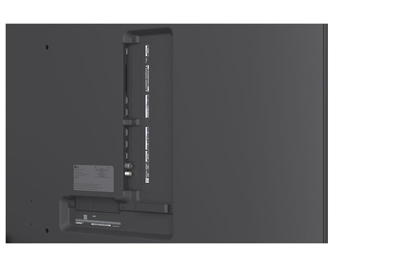 LG QNED evo AI QNED85 Mini LED laat zien hoe Mini LED met Precision Dimming werkt in een gesplitste bosscène, waarbij conventionele LED wordt vergeleken met diepere zwarttinten en een verfijnder contrast terwijl het zonlicht door de bomen schijnt voor meer helderheid en diepte.