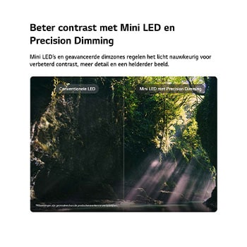 Een LG QNED evo AI QNED85 Mini LED met AI Picture Pro en Dynamic Tone Mapping Pro toont een lifestyle-scène in een openluchtomgeving vanuit een lage hoek, met twee personen tussen levendige bloemen. AI herkent elk beeld en schaalt het op naar 4K voor een duidelijkere textuur en meer details.