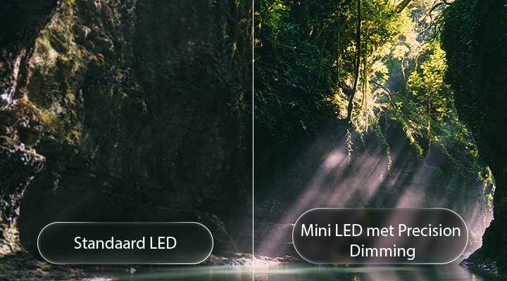 LG QNED evo AI QNED85 Mini LED laat zien hoe Mini LED met Precision Dimming werkt in een gesplitste bosscène, waarbij conventionele LED wordt vergeleken met diepere zwarttinten en een verfijnder contrast terwijl het zonlicht door de bomen schijnt voor meer helderheid en diepte.