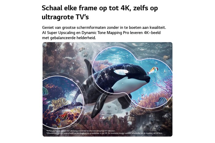Een LG QNED evo AI QNED70 Mini LED met 4K Super Opschalen en Dynamic Tone Mapping toont een onderwaterscène van een zeeleeuw, terwijl AI elk frame herkent en opschaalt tot een resolutie van 4K.