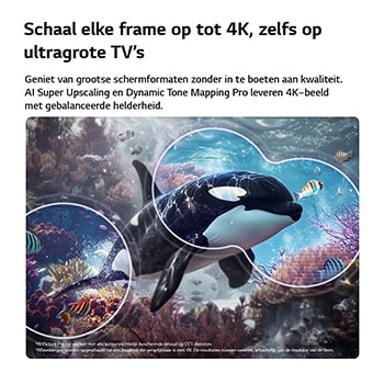 Een LG QNED evo AI QNED70 Mini LED met 4K Super Opschalen en Dynamic Tone Mapping toont een onderwaterscène van een zeeleeuw, terwijl AI elk frame herkent en opschaalt tot een resolutie van 4K.