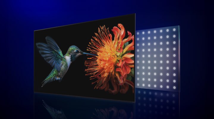 El LG QNED evo AI Mini LED con Precision Dimming Ultra muestra un colibrí con una flor en la pantalla, junto a un panel de luces Mini LED finamente espaciadas, lo que ilustra una transición hacia reflejos más brillantes y un contraste más marcado.