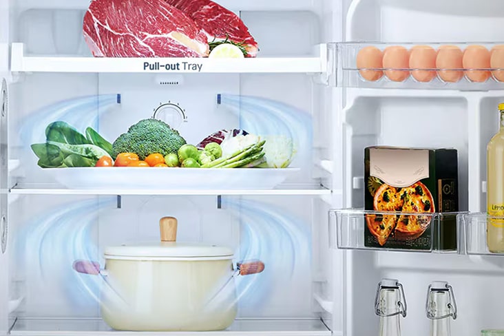 Interior del refrigerador LG con carne, verduras, huevos, bebidas y una olla, se destaca el sistema de enfriamiento Multi Air Flow para una frescura uniforme y una temperatura constante.