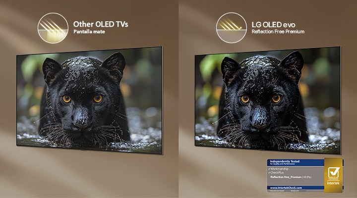 El LG OLED evo AI G6 con Reflection Free Premium muestra una comparativa lado a lado con la pantalla mate de Otros OLED TV, manteniendo la imagen del jaguar negro nítida con negros profundos y textura fina, especialmente en entornos iluminados, con el sello de certificación Intertek visible.