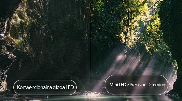 LG QNED evo AI QNED85 Mini LED podkreśla technologię Mini LED z Precision Dimming w podzielonej scenie leśnej, porównując z konwencjonalnym LED i pokazując głębszą czerń oraz bardziej dopracowany kontrast, gdy promienie słońca przenikają przez drzewa, zapewniając większą klarowność i głębię.