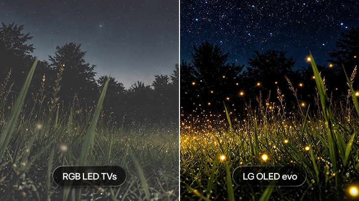 LG OLED evo TV displays a split-screen outdoor scene transitioning from day to night, comparing RGB LED TVs with LG OLED evo. LG OLED evo maintains accurate brightness to preserve even the smallest points of light, while RGB LED TVs lose fine highlights in dark scenes. LG OLED evo TV displays a split-screen outdoor scene transitioning from day to night, comparing RGB LED TVs with LG OLED evo. LG OLED evo maintains accurate brightness to preserve even the smallest points of light, while RGB LED TVs lose fine highlights in dark scenes.