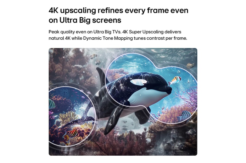LG QNED evo AI QNED80 Mini LED med 4K Super Upscaling och Dynamic Tone Mapping visar en undervattensscen av en späckhuggare medan AI känner igen bilden och skalar upp varje bildruta till 4K-upplösning.