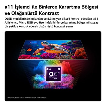 Micro Dimming Ultra özellikli LG Micro RGB evo AI MRGB95, 8,3 milyondan fazla piksel ile hassas renk ayrımı olan ve alfa 11 AI İşlemci 4K Gen3 ile desteklenen binlerce karartma bölgesiyle zenginleştirilmiş canlı bir deniz yaşamı sahnesini gösteriyor. 