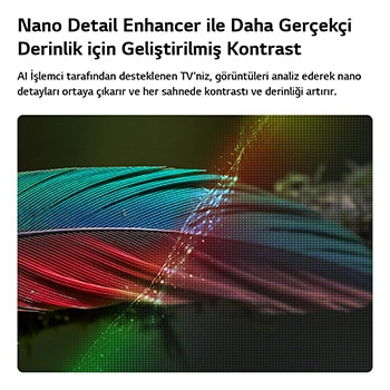 Nano Ayrıntı Geliştirici özelliğine sahip LG NANO 4K UHD AI NU85, kontrastı ve derinliği artırmak ve daha net ve üç boyutlu 4K görüntü sunmak için ince dokuları algılayan alfa AI İşlemci ile desteklenen bir tüy resmi gösteriyor.