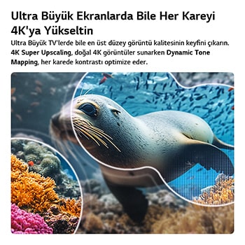 LG NANO 4K UHD AI NU8E, 4K Süper Yükseltme ve Dinamik Ton Eşleştirme özellikleriyle, bir deniz aslanının su altı sahnesinde yapay zekanın her kareyi 4K çözünürlüğe yükselttiğini gösteriyor.