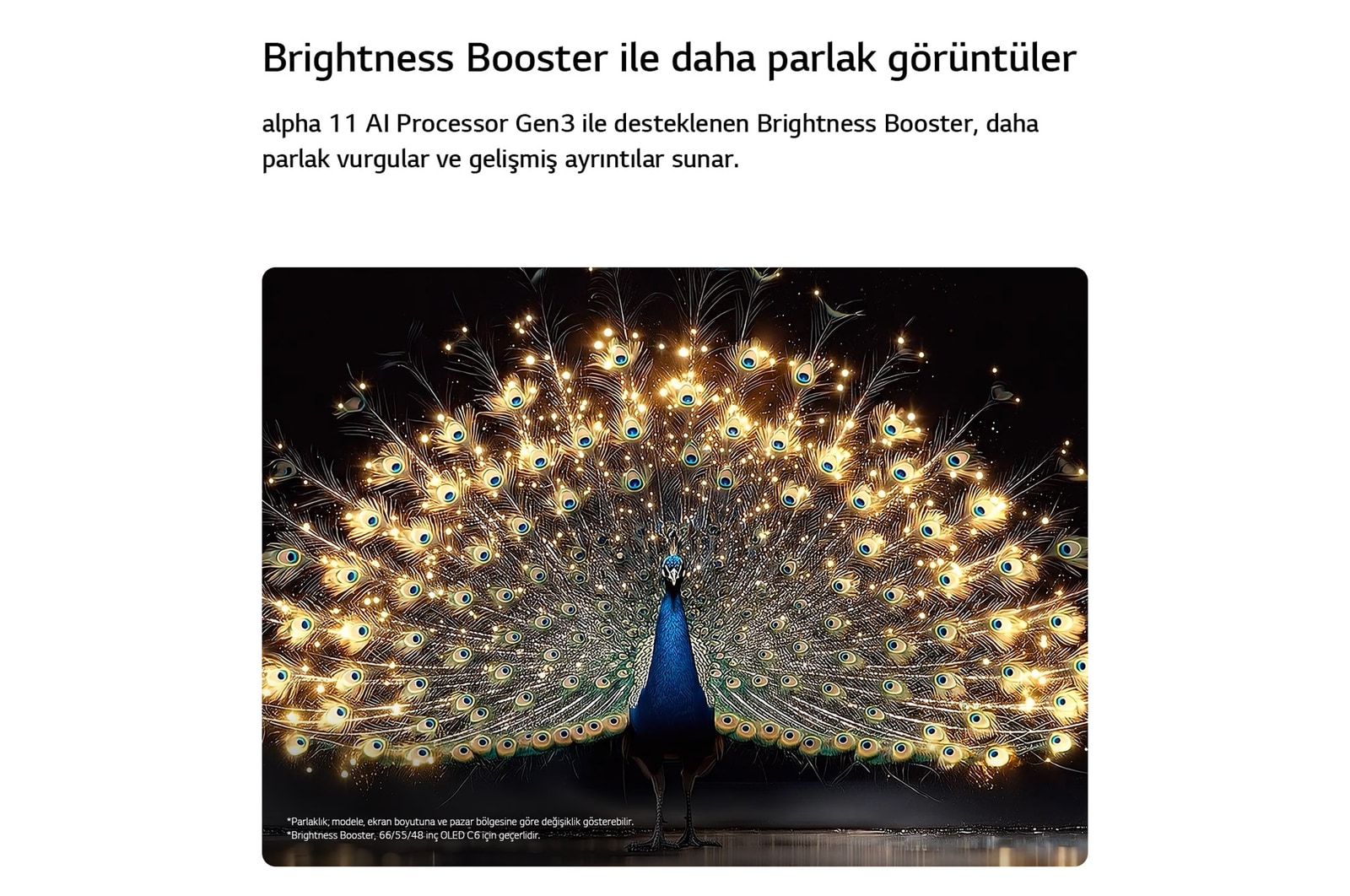 Parlaklık Artırıcılı LG OLED evo AI C6, karanlık bir sahnede parlak biçimde aydınlatılmış bir tavuskuşunun ışıldayan tüylerini sergileyerek gelişmiş ayrıntılar ve çarpıcı kontrastla daha parlak vurgular sunuyor.