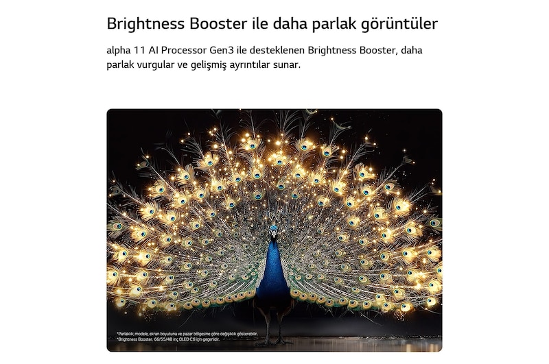 Parlaklık Artırıcılı LG OLED evo AI C6, karanlık bir sahnede parlak biçimde aydınlatılmış bir tavuskuşunun ışıldayan tüylerini sergileyerek gelişmiş ayrıntılar ve çarpıcı kontrastla daha parlak vurgular sunuyor.