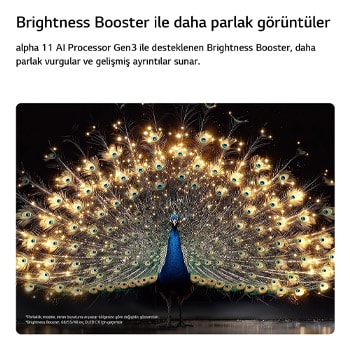 Parlaklık Artırıcılı LG OLED evo AI C6, karanlık bir sahnede parlak biçimde aydınlatılmış bir tavuskuşunun ışıldayan tüylerini sergileyerek gelişmiş ayrıntılar ve çarpıcı kontrastla daha parlak vurgular sunuyor.