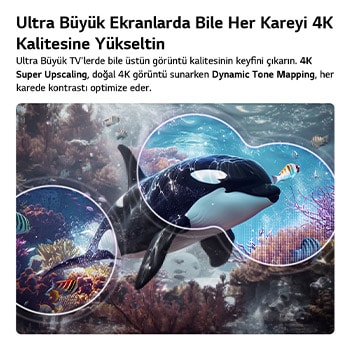 LG QNED evo AI QNED81  Mini LED, 4K Süper Yükseltme ve Dinamik Ton Eşleme özellikleriyle, su altında yüzen bir katil balinanın görüntüsünde yapay zekanın görüntüyü algılayıp her kareyi 4K çözünürlüğe yükselttiğini gösteriyor.