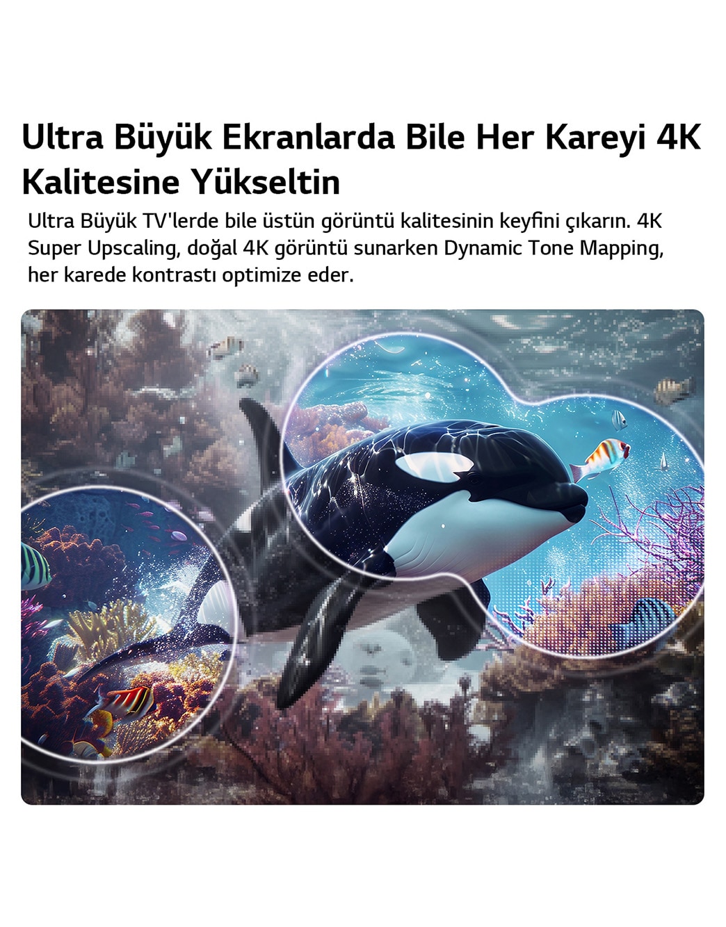 LG QNED evo AI QNED80 Mini LED, 4K Süper Yükseltme ve Dinamik Ton Eşleme özellikleriyle, su altında yüzen bir katil balinanın görüntüsünde yapay zekanın görüntüyü algılayıp her kareyi 4K çözünürlüğe yükselttiğini gösteriyor.