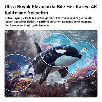 LG QNED evo AI QNED80 Mini LED, 4K Süper Yükseltme ve Dinamik Ton Eşleme özellikleriyle, su altında yüzen bir katil balinanın görüntüsünde yapay zekanın görüntüyü algılayıp her kareyi 4K çözünürlüğe yükselttiğini gösteriyor.