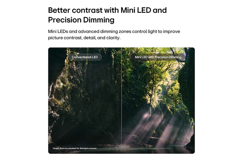 LG QNED evo AI QNED85 Mini LED ekranda, güneş ışığı ağaçların arasından süzülürken bölünmüş bir orman sahnesinde geleneksel LED ile Mini LED karşılaştırılıyor. Hassas Karartma özelliğine sahip Mini LED daha derin siyahlar ve daha hassas kontrastla daha fazla netlik ve derinlik sağlayarak öne çıkıyor.
