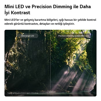 LG QNED evo AI QNED85 Mini LED ekranda, güneş ışığı ağaçların arasından süzülürken bölünmüş bir orman sahnesinde geleneksel LED ile Mini LED karşılaştırılıyor. Hassas Karartma özelliğine sahip Mini LED daha derin siyahlar ve daha hassas kontrastla daha fazla netlik ve derinlik sağlayarak öne çıkıyor.