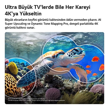 AI Resim Pro ve Dinamik Ton Eşleştirme Pro özelliklerine sahip LG QNED evo AI QNED85 Mini LED, mercanlar ve balıkların üzerinde yüzen bir deniz kamlumbağasının su altı sahnesini gösteriyor. Yapay zeka her kareyi tanıyıp 4K çözünürlüğe yükseltiyor.