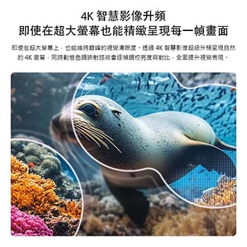 配備 4K AI 智慧影像超級升頻與動態色彩調節技術的 LG NANO 4K UHD AI NU85，顯示水下海獅場景，AI 自動辨識並將每一幀畫面升級至 4K 解析度。