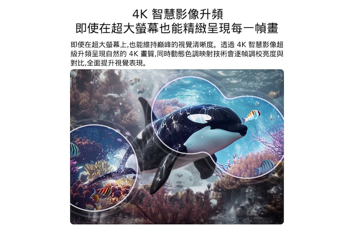 配備 4K AI 智慧影像超級升頻與動態色彩調節技術的 LG QNED evo AI QNED80 Mini LED,顯示水下虎鯨場景,AI 自動辨識影像並將每一幀畫面升級至 4K 解析度。