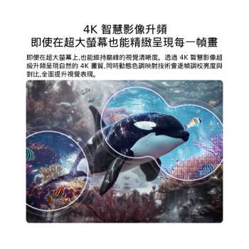 配備 4K AI 智慧影像超級升頻與動態色彩調節技術的 LG QNED evo AI QNED80 Mini LED，顯示水下虎鯨場景，AI 自動辨識影像並將每一幀畫面升級至 4K 解析度。