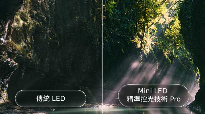 LG QNED evo AI QNED85 Mini LED 透過森林場景分割畫面，突顯其 Mini LED 結合精準調光技術，相較傳統 LED 能呈現更深邃的黑色與更細緻的對比；當陽光穿透樹林時，畫面更清晰且更具層次深度。