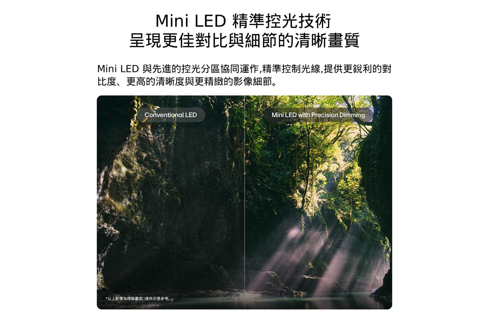 LG QNED evo AI QNED86 Mini LED 透過森林場景分割畫面，突顯其 Mini LED 結合精準調光技術，相較傳統 LED 能呈現更深邃的黑色與更細緻的對比；當陽光穿透樹林時，畫面更清晰且更具層次深度。