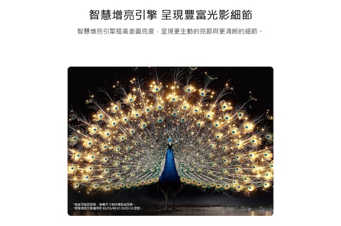 展示 LG OLED evo AI C6 搭載智慧增亮技術,顯示昏暗的場景,畫面中一隻光彩奪目的孔雀舒展它光芒四射的羽毛,呈現更明亮的亮部、更細膩的細節和驚人的對比。