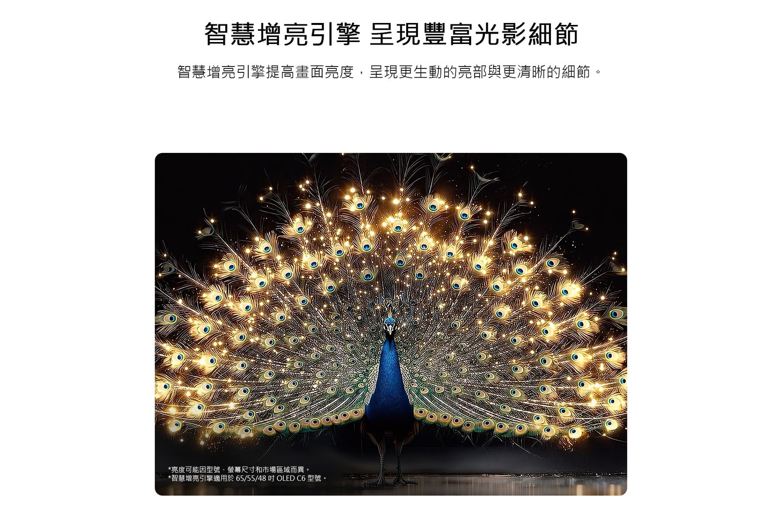 展示 LG OLED evo AI C6 搭載智慧增亮技術，顯示昏暗的場景，畫面中一隻光彩奪目的孔雀舒展它光芒四射的羽毛，呈現更明亮的亮部、更細膩的細節和驚人的對比。