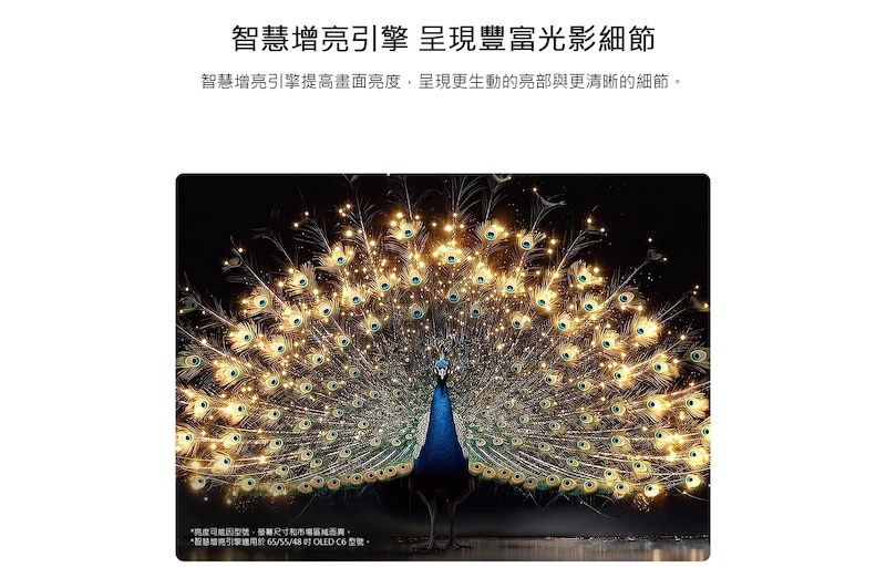 展示 LG OLED evo AI C6 搭載智慧增亮技術，顯示昏暗的場景，畫面中一隻光彩奪目的孔雀舒展它光芒四射的羽毛，呈現更明亮的亮部、更細膩的細節和驚人的對比。