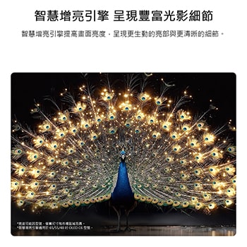 展示 LG OLED evo AI C6 搭載智慧增亮技術，顯示昏暗的場景，畫面中一隻光彩奪目的孔雀舒展它光芒四射的羽毛，呈現更明亮的亮部、更細膩的細節和驚人的對比。