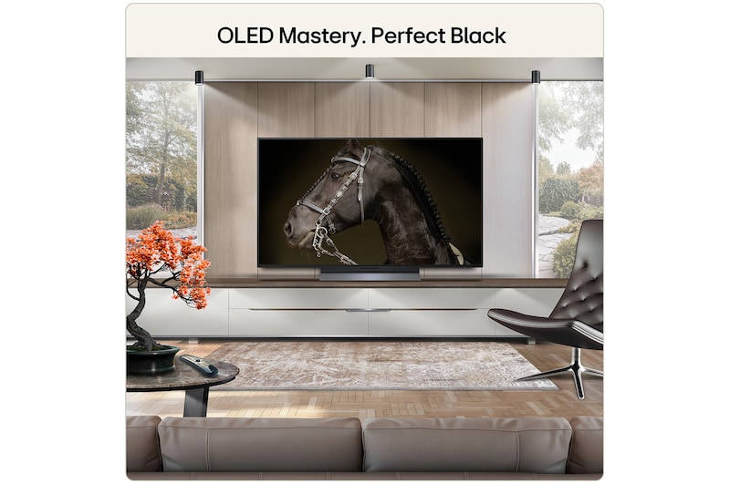 48 Inch LG OLED evo AI C6 4K Smart TV 2026