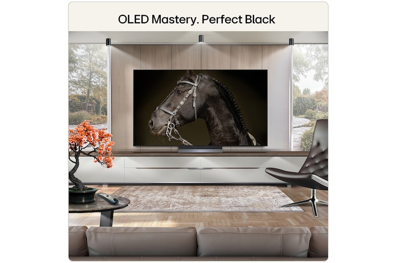 55 Inch LG OLED evo AI C6 4K Smart TV 2026