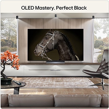 55 Inch LG OLED evo AI C6 4K Smart TV 2026