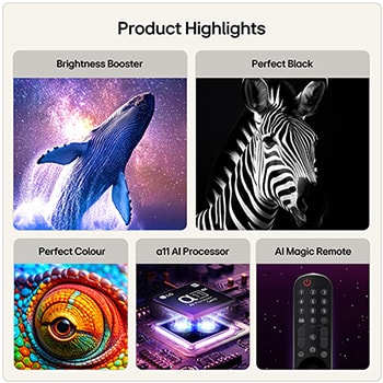 65 Inch LG OLED evo AI C6 4K Smart TV 2026