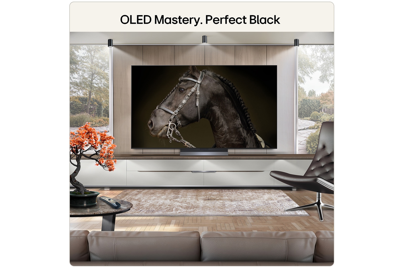 65 Inch LG OLED evo AI C6 4K Smart TV 2026