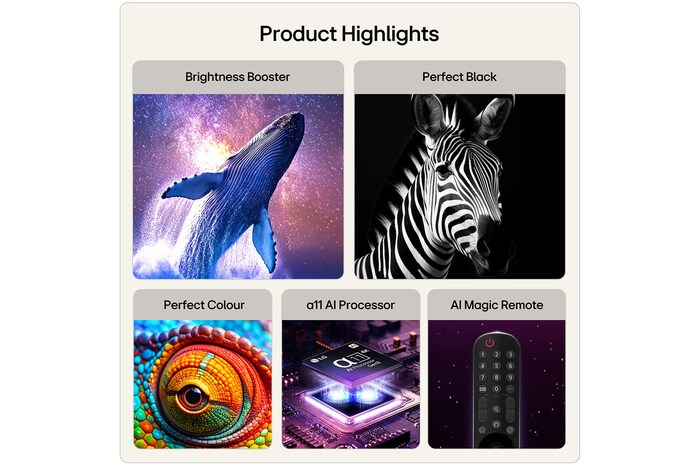 65 Inch LG OLED evo AI C6 4K Smart TV 2026