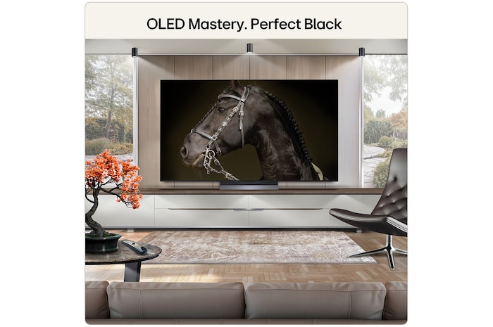 65 Inch LG OLED evo AI C6 4K Smart TV 2026