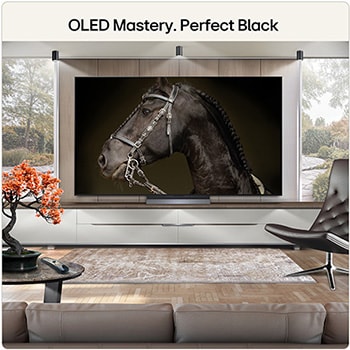 77 Inch LG OLED evo AI C6 4K Smart TV 2026