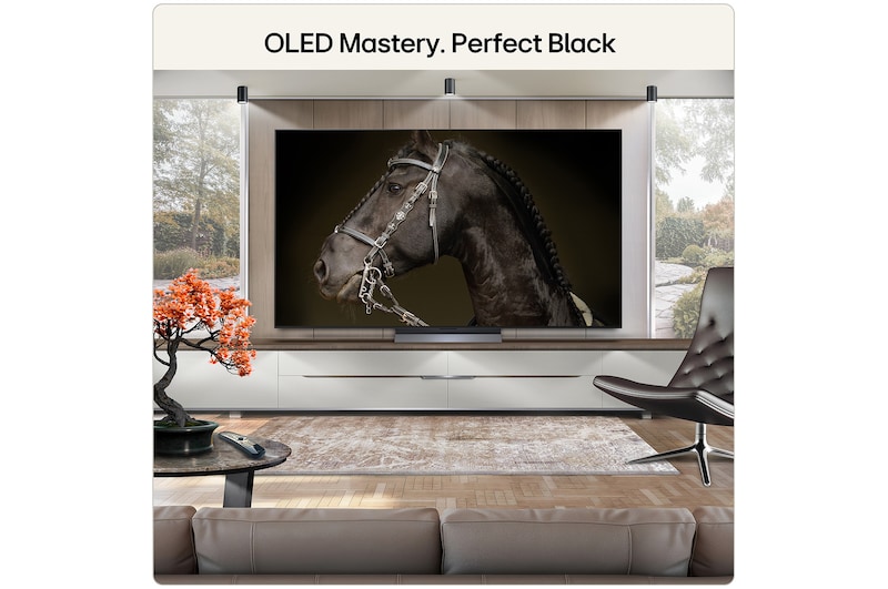 77 Inch LG OLED evo AI C6 4K Smart TV 2026