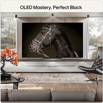 77 Inch LG OLED evo AI C6 4K Smart TV 2026
