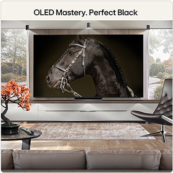 83 Inch LG OLED evo AI C6 4K Smart TV 2026