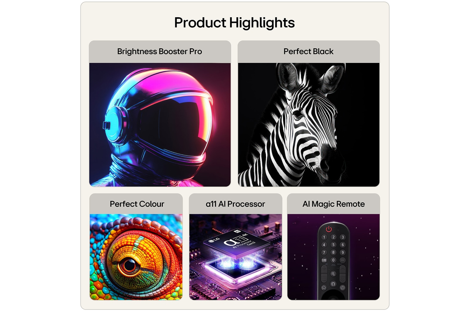Highlights