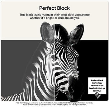 LG OLED evo AI C6 with Brightness Booster Pro shows a dark scene where glowing particles surrounding a deer silhouette, delivering up to 3.2x brighter peak brightness with higher luminance and clearer detail.