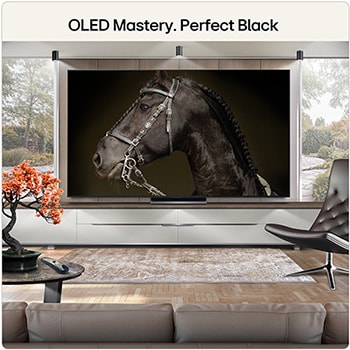 83 Inch LG OLED evo AI C6 4K Smart TV 2026