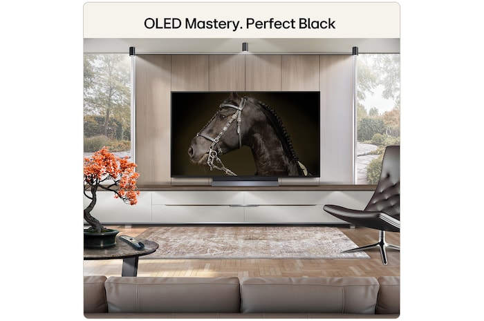 oled mastery. perfect black