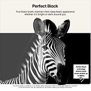 perfect black